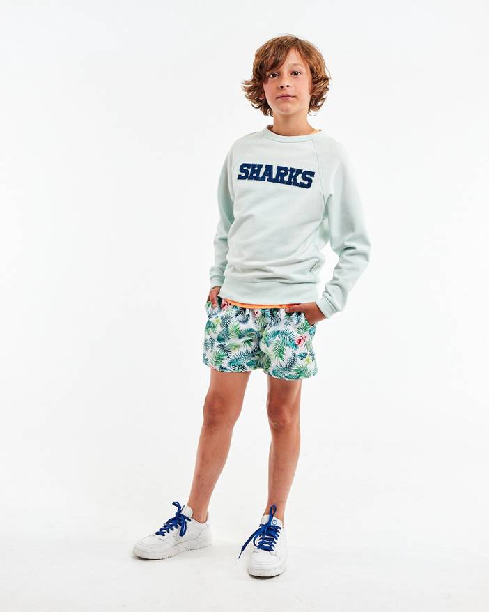 Tahiti swimshorts | Ao76