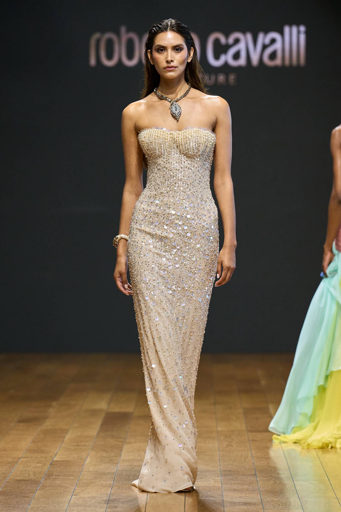Roberto Cavalli RTW SS26