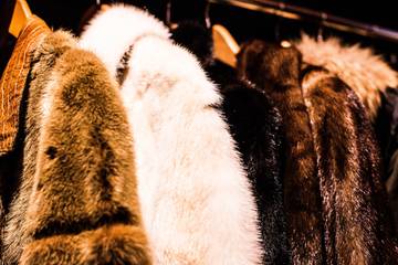 Neiman Marcus to go fur-free by 2023