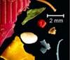 Kust bedreigd door wassen polyester kleding