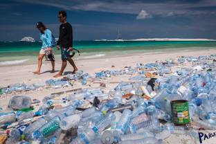 These were the sustainability efforts of the fashion industry in 2020