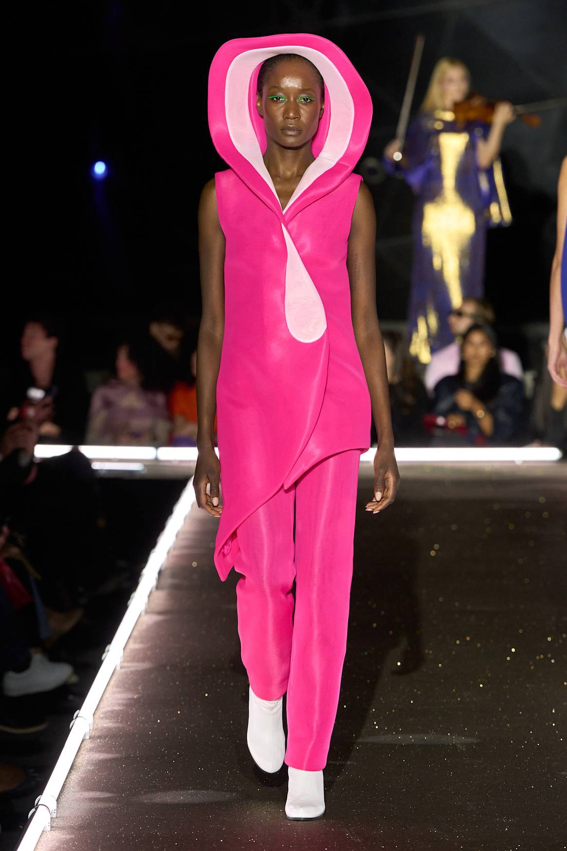 Pierre Cardin FW25