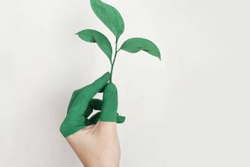 La Comisión Europea alerta sobre el aumento del “Greenwashing”