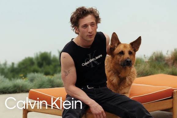 Calvin Klein campaign featured Jeremy Allen White