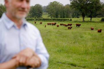 Domaine des Massifs : quand la condition animale compte dans la mode