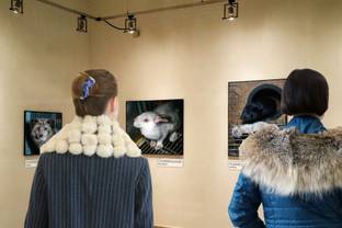 Kunstproject Furrealisme toont herkomst bont en vraagt aandacht burgerinitiatief