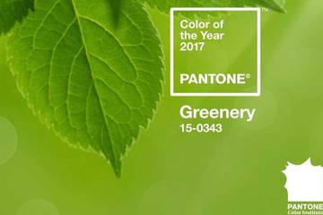 „Greenery“ ist Pantone Farbe des Jahres