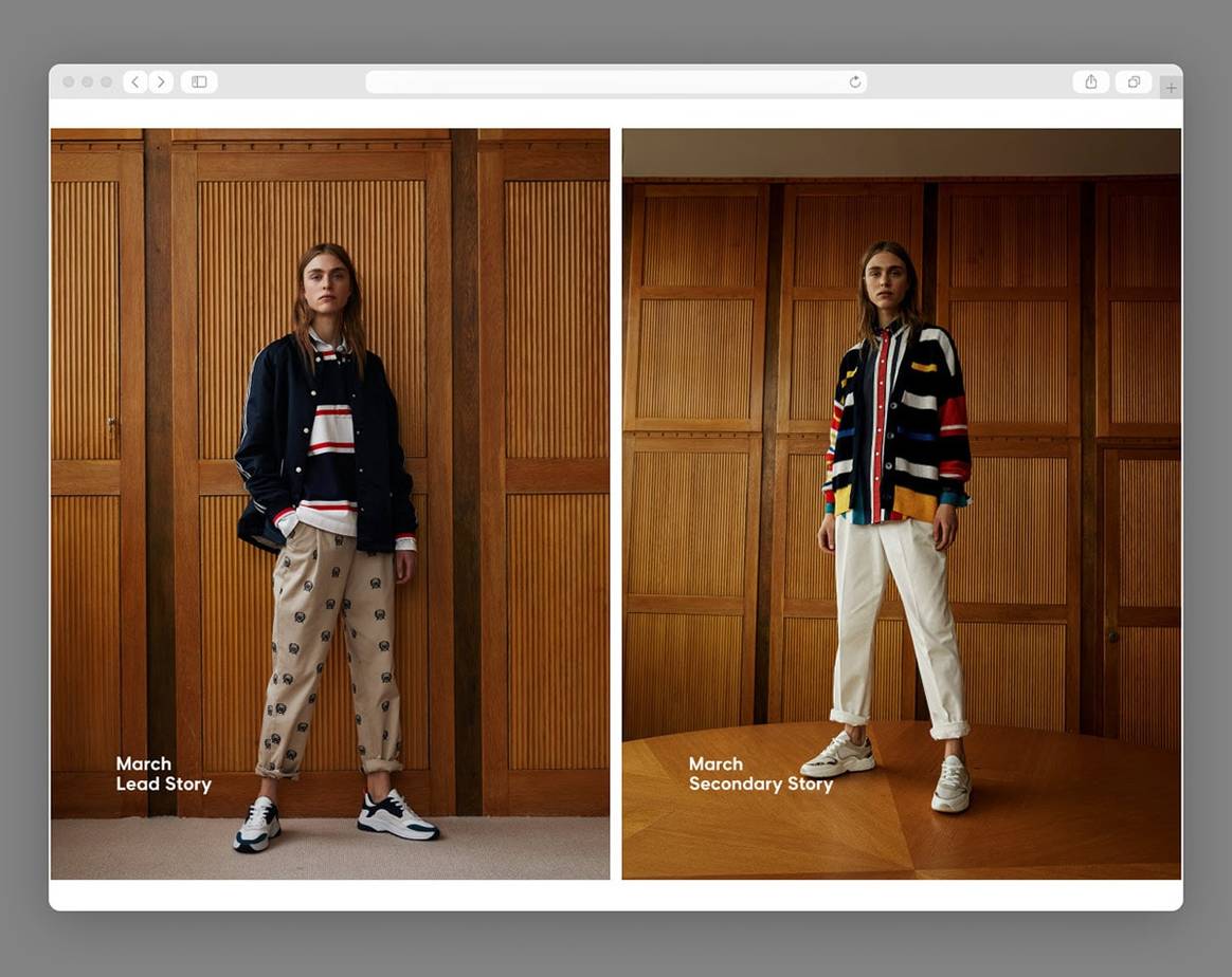 Macaque in the trees