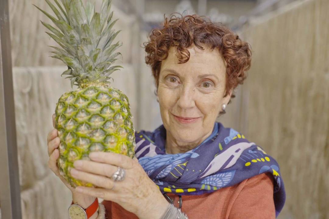 Carmen Hijosa, fundadora de Ananas Anam.