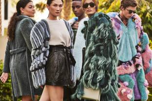 Denmark's fur industry to take a hit over culling of mink population