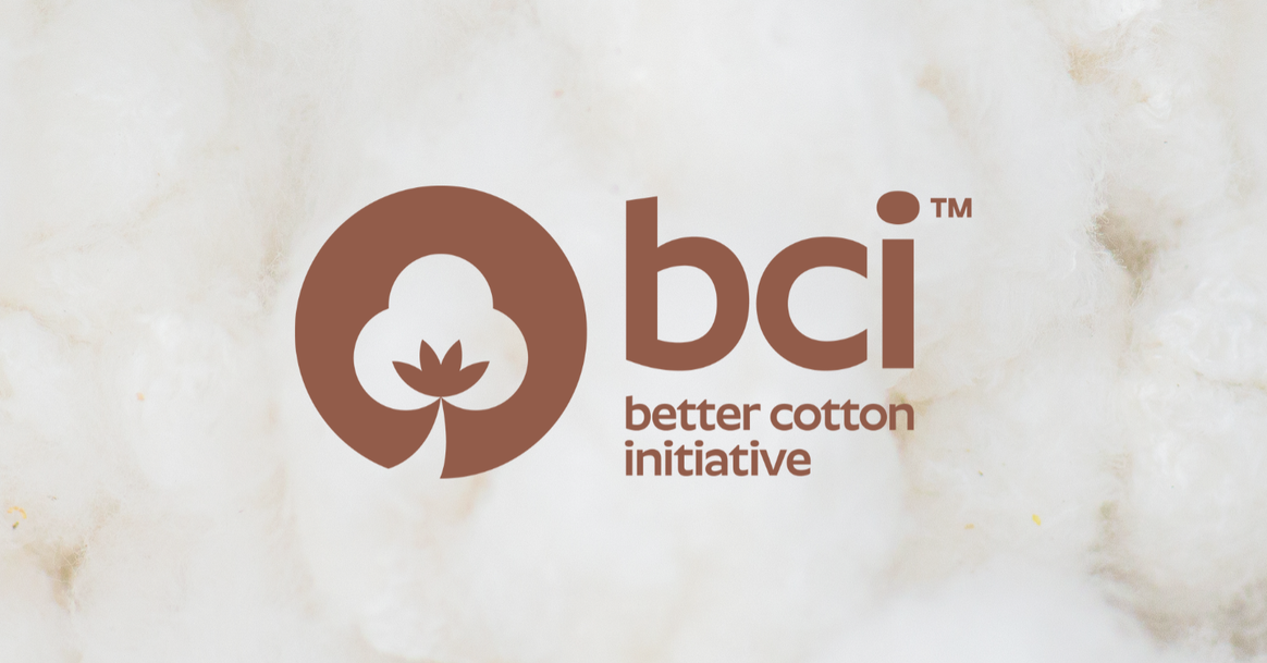 BCI new logo