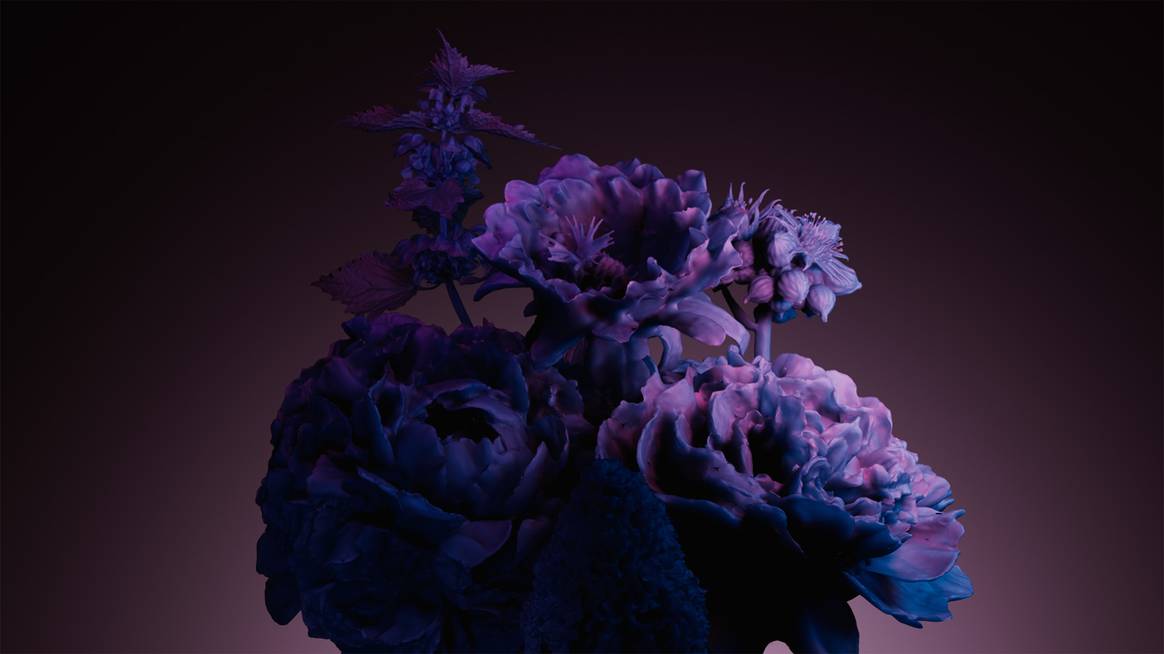 Midnight Plum - Informe de color FW24/25 de WGSN y Coloro. Imagen: WGSN