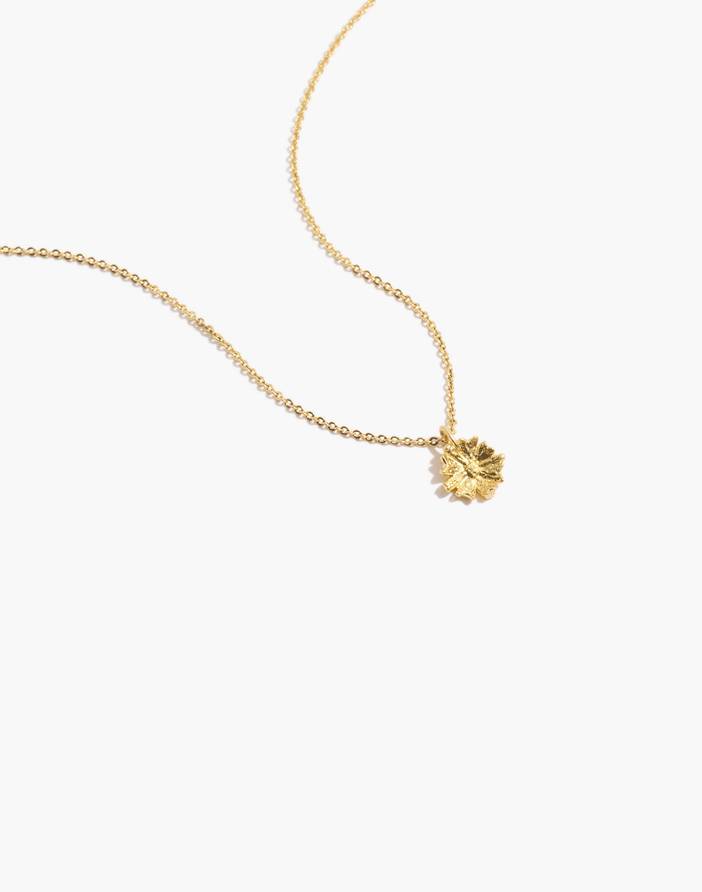 Mojave Daisy Pendant Necklace | Madewell