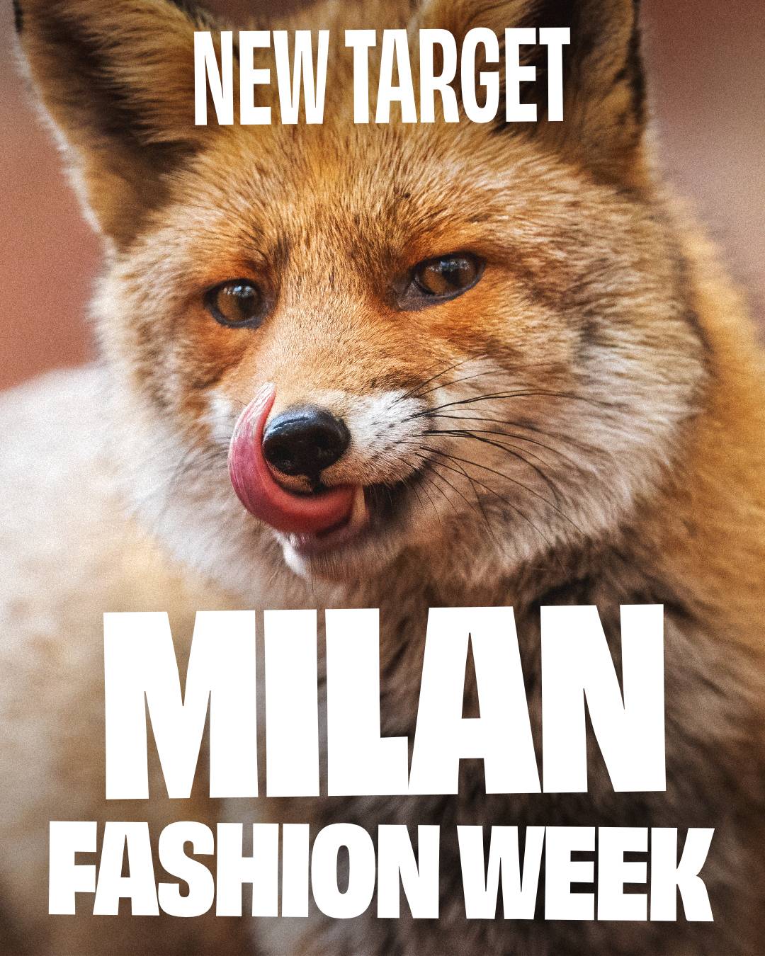 La campagna lanciata da Coalition to abolish the fur trade