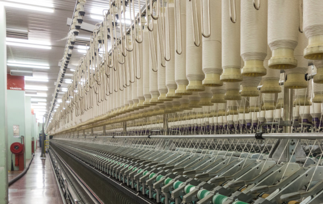 The ring spinning machine winds organic yarn onto spindles.