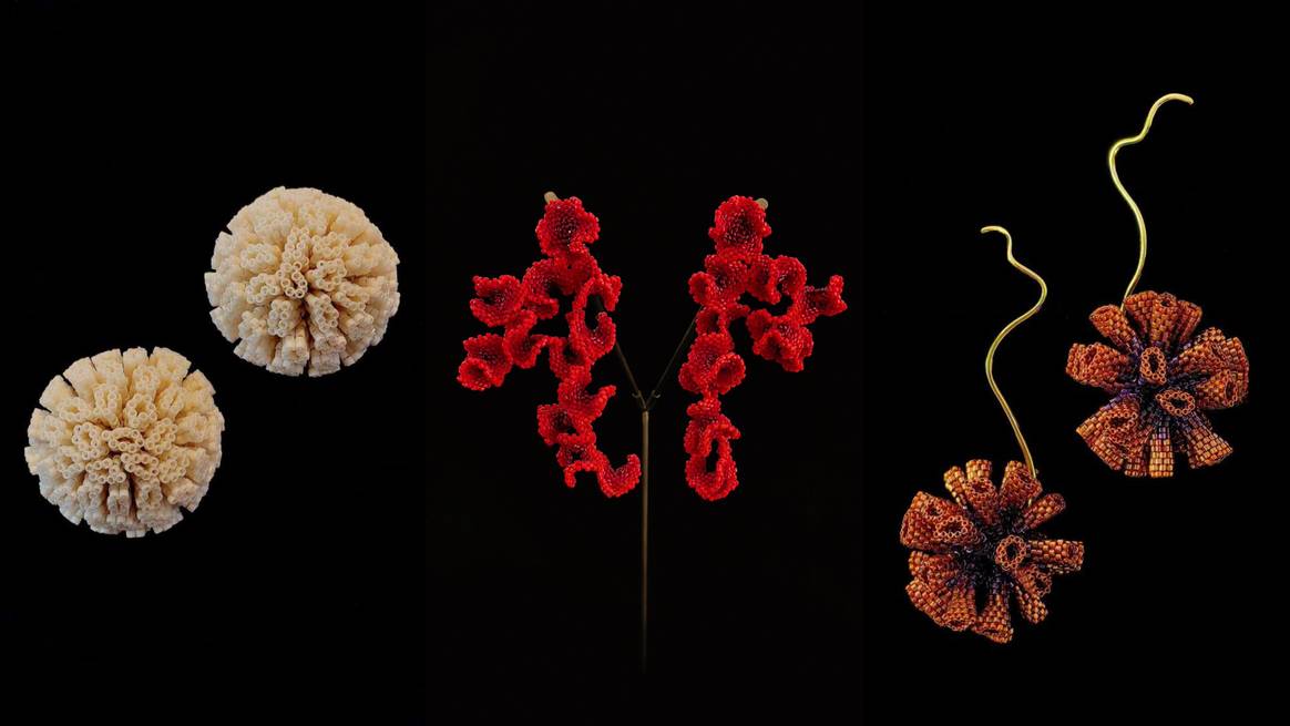 (De izq. a dch.) Pieza Cavata, inspirada en un coral cerebro. Coralina, pieza maestra, inspirada en los arrecifes de coral. Candra, inspirada en los corales Tubiporas.