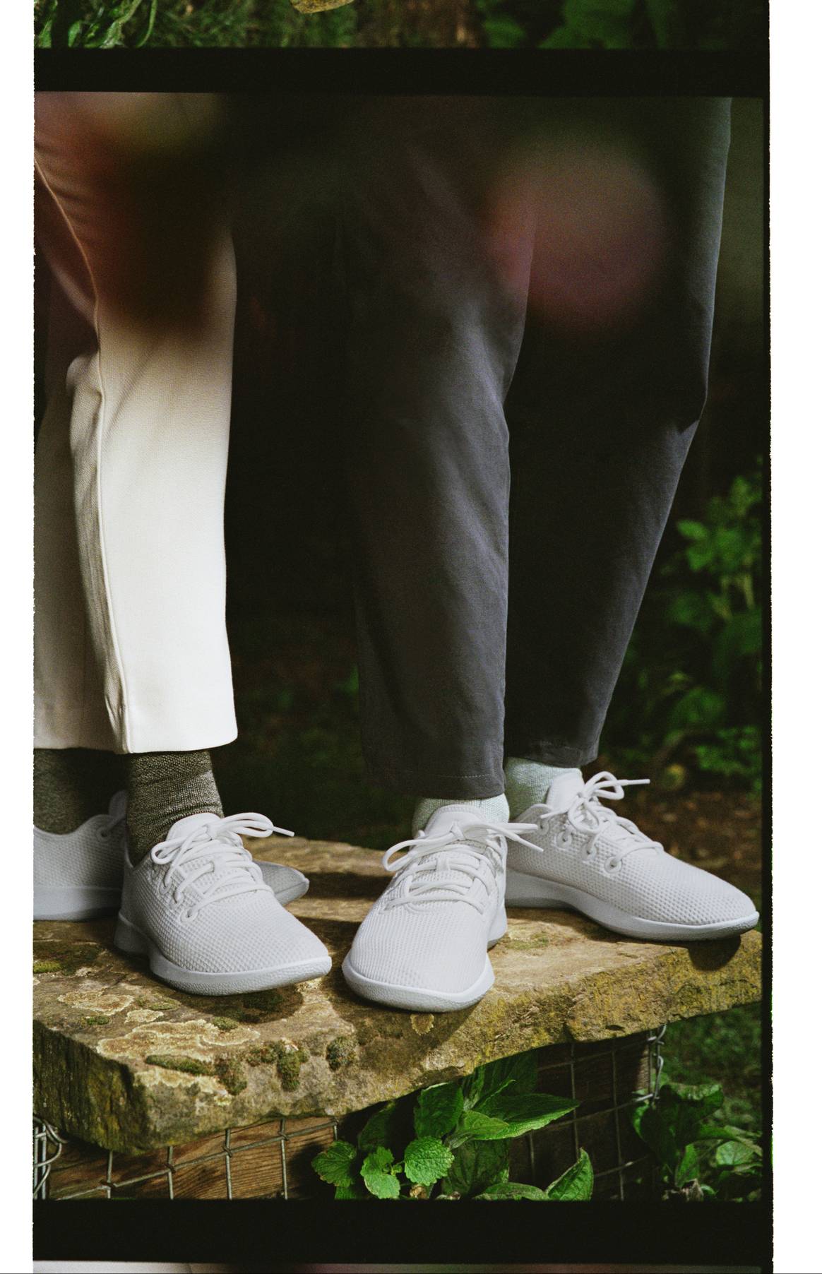 Image: courtesy of Allbirds