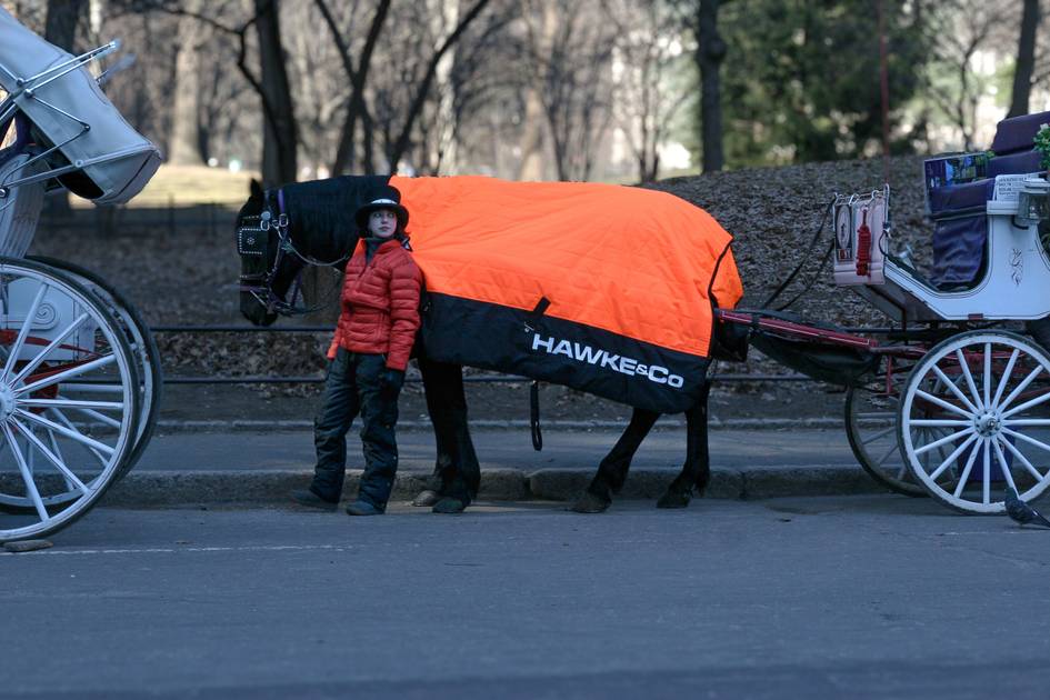 Hawke & Co. gift custom puffer coats to Central Park carriage horses