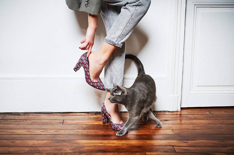 CEO Sarenza: “Wij willen de favoriete schoenen e-tailer in Europa worden”