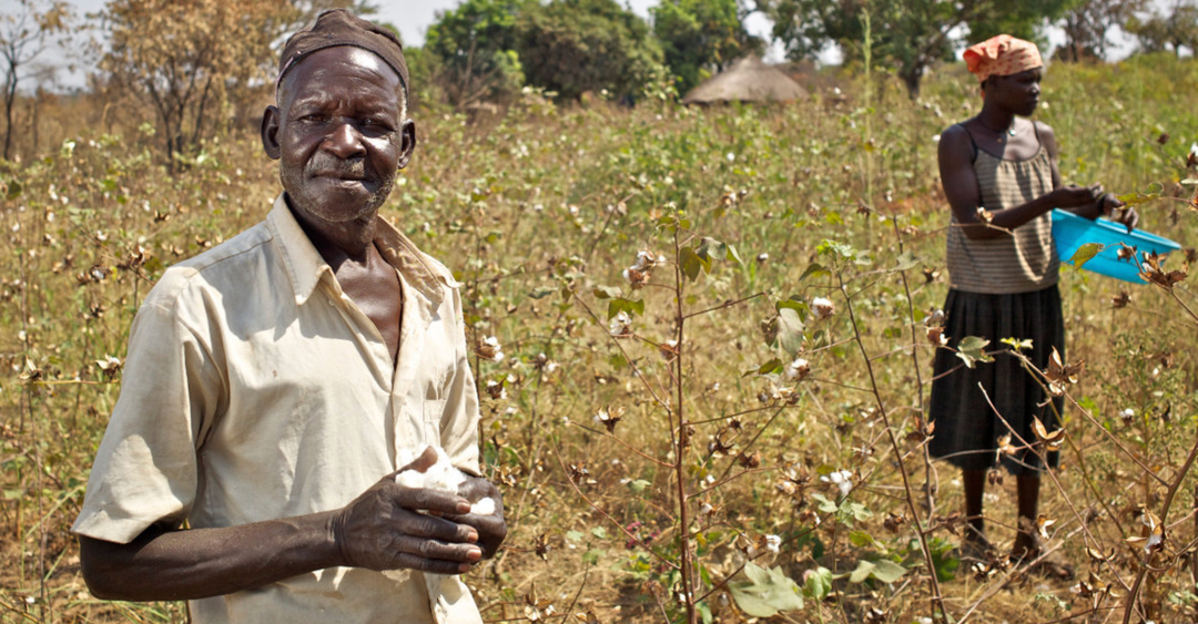 Organic farmers in Uganda.