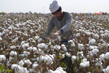 Uniqlo, Inditex, SMCP and Skechers accused of profiting from the forced labour of Uighurs