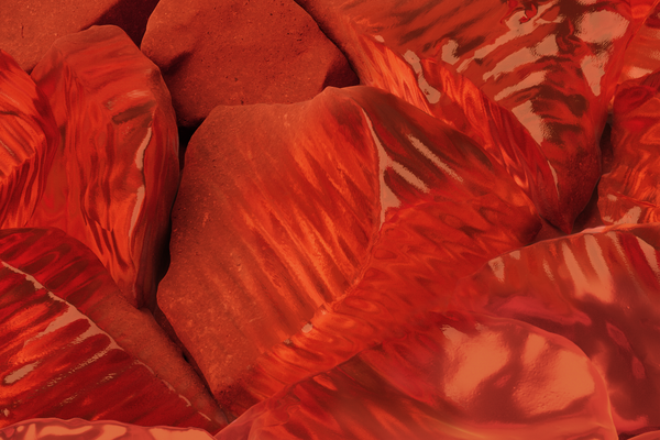 Wgsn e Coloro nominano 'Radiant earth' colore dell'anno per il 2028