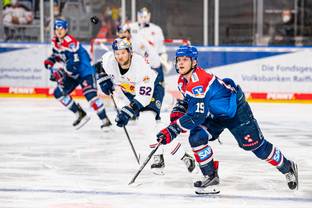 Eishockey-Club Adler Mannheim setzt auf nachhaltigeres Merchandise