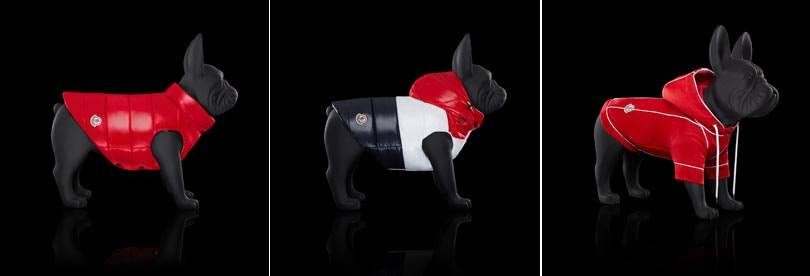Dog fashion: the next step for luxury brands?