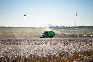 Wrangler plans new jean made from regeneratively grown cotton