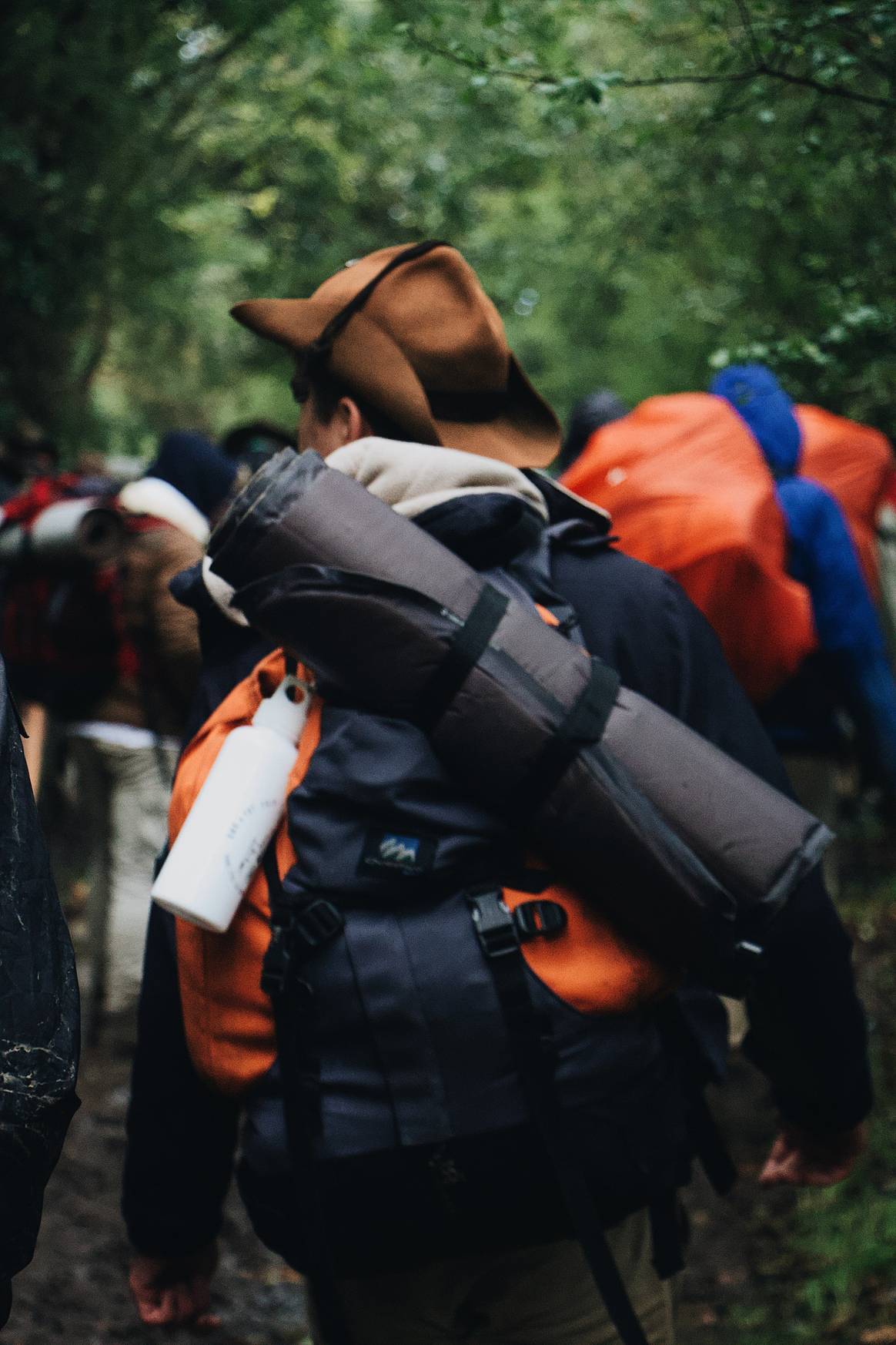 Hiking backpack