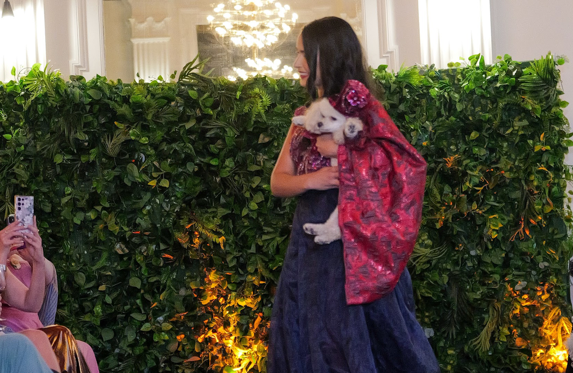 A real Cinderella story - Cinderella, the poodle, was dressed in all red, complete with a top hat, like Jodie Turner-Smith who presented an equestrian-inspired look by Burberry.