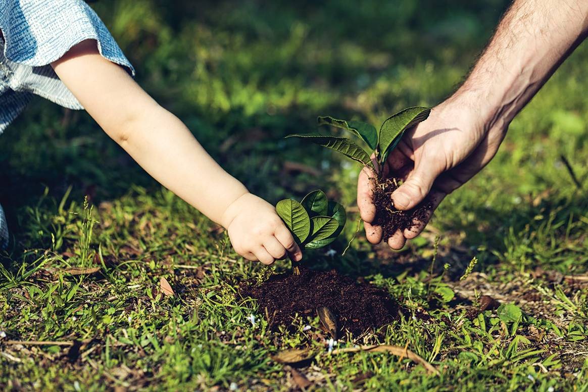 How biodegradable fibers aim to disrupt the nonwovens industry positively