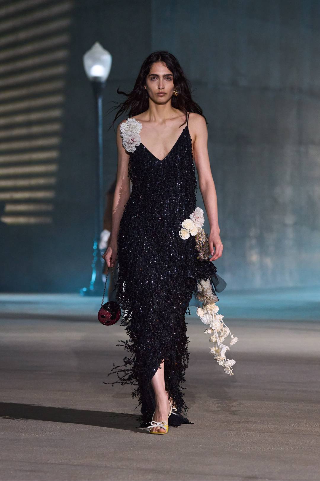 Dior Cruise 2027