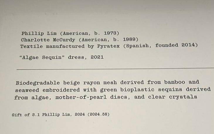 Cartel del vestido “Algae Sequin” en las salas del Met.
