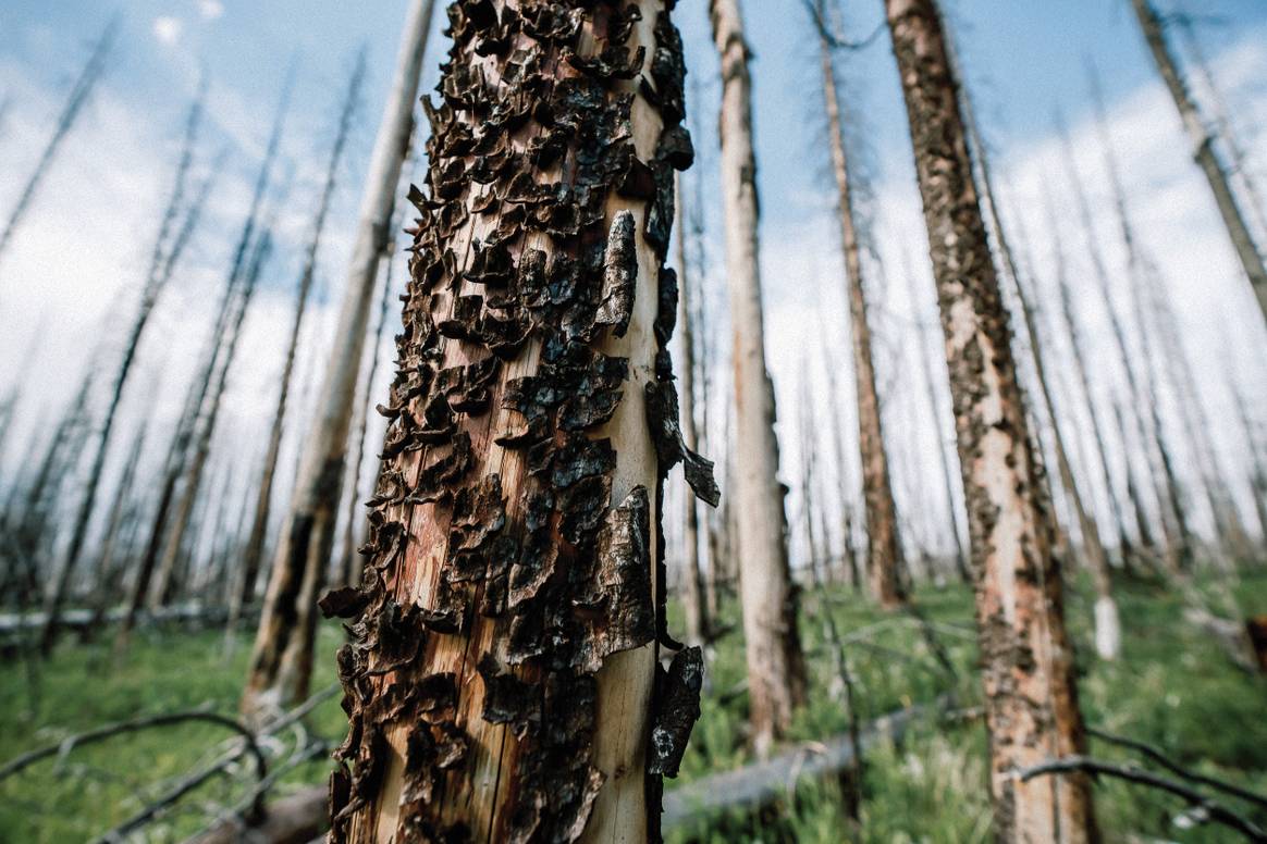 Oasi Zegna Global Initiatives environmental conservation project from Zegna - Lake Christine, Aspen