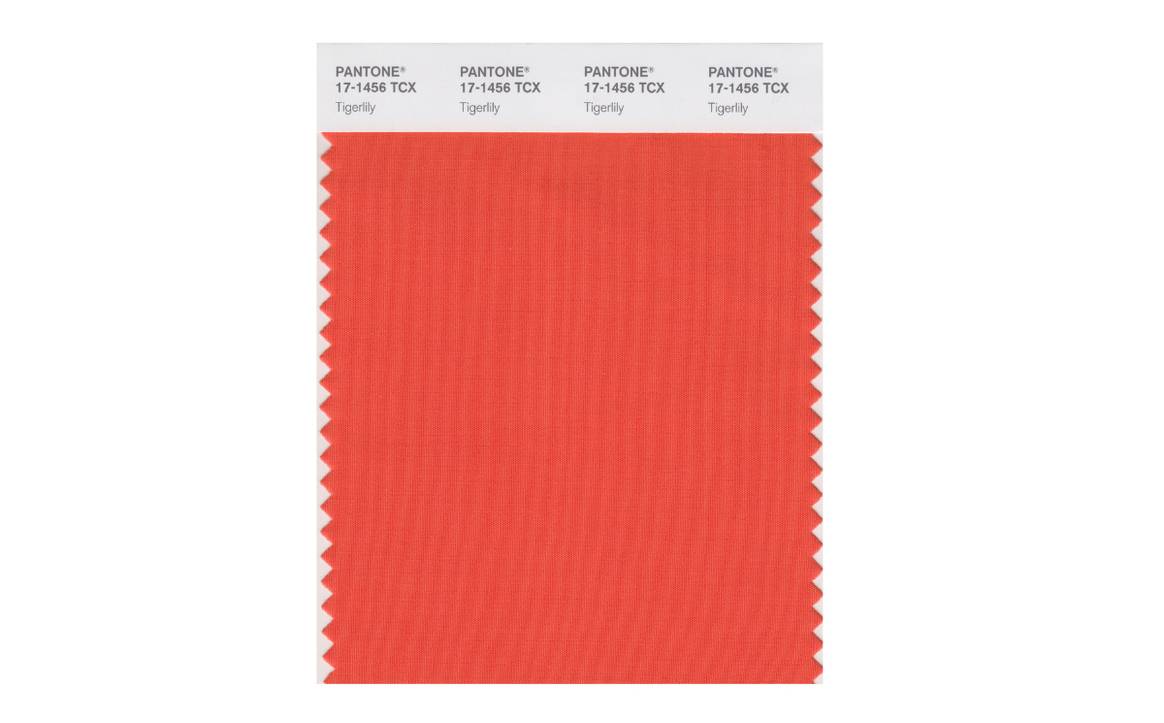 Descubre todos los colores Pantone desde 2000
