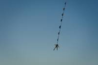 Die Erde ist eine Scheibe: Neue Columbia-Kampagne sucht den Beweis