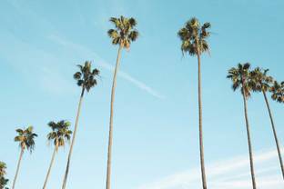 Four fashion professionals share what it's like to work in Los Angeles