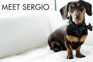 Sergio: LFW Shoe Hunter