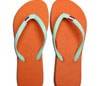 Havaianas in actie tegen Hollandaisasslippers