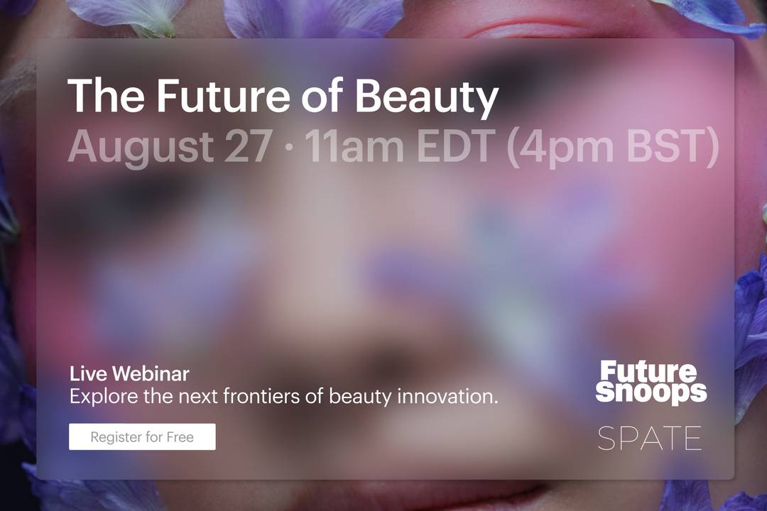 Future Snoops Webinar