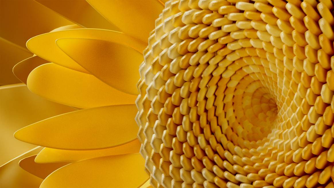 Ray Flower, uno de los colores clave de SS25 Coloro x WGSN. Imagen: Coloro