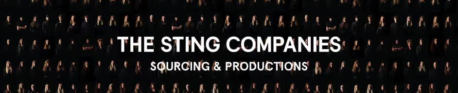 Company Profile header The Sting Companies Sourcing & Productions