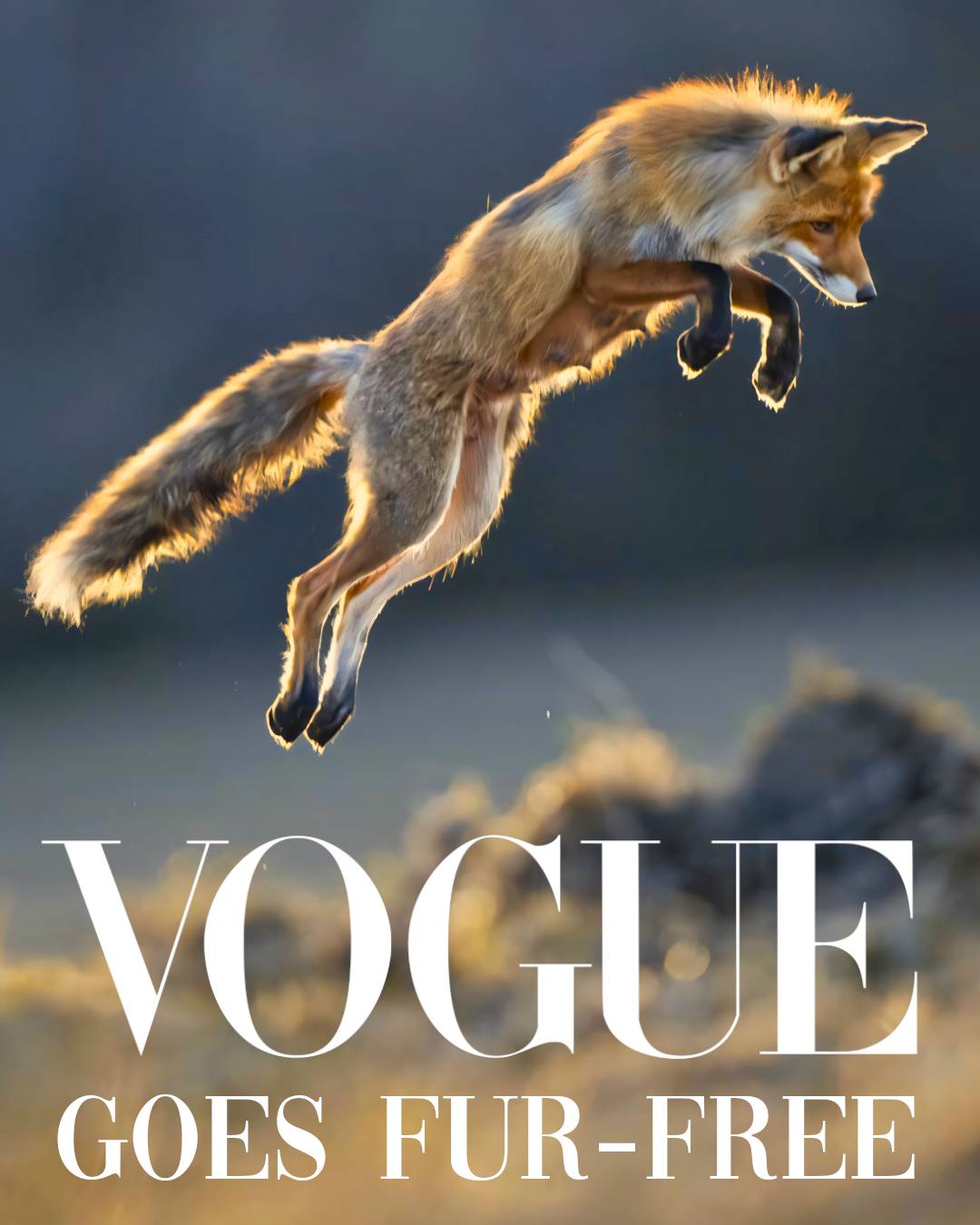 Condé Nast Goes Fur-Free Following Protest Campaign
