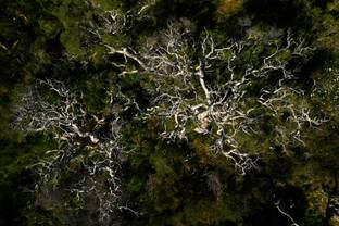 Podcast: Regeneratief leiderschap in de mode