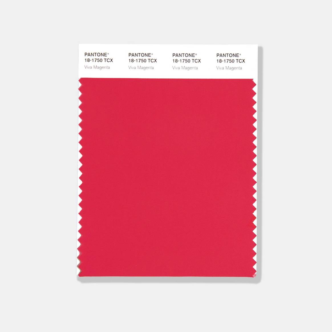 Photo Credits: Viva Magenta, Pantone Color of the Year 2023. Pantone, página oficial.