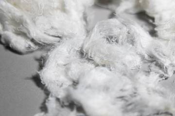 Fashion industry unveils financing scheme for cotton decarbonisation