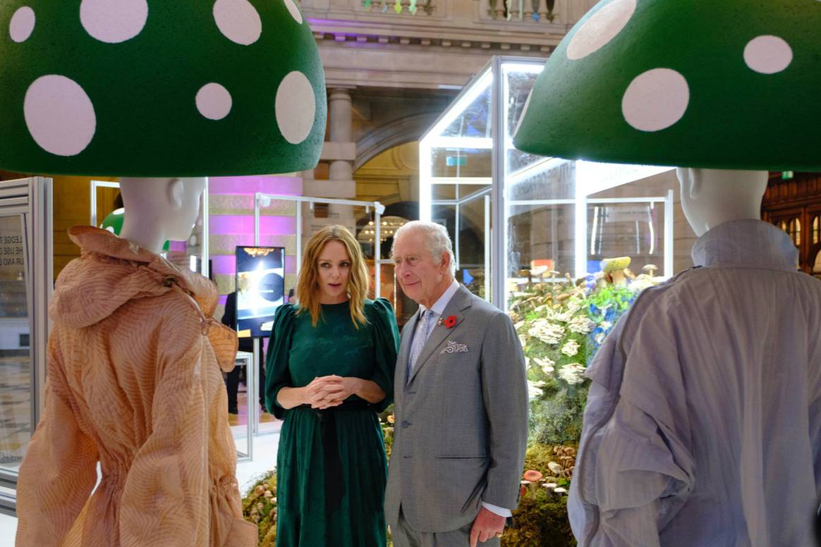 Image: Stella McCartney