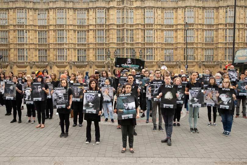 MPs push for UK ban of fur imports during landmark debate