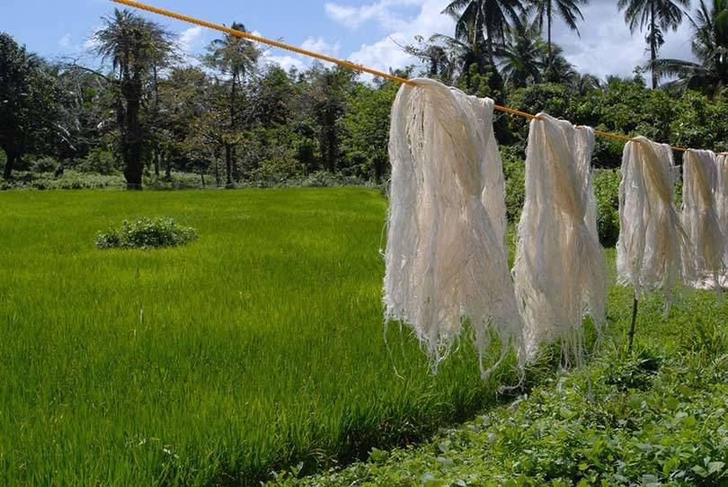 Tejidos Innovadores Sostenibles: Piñatex, la alternativa vegana al cuero